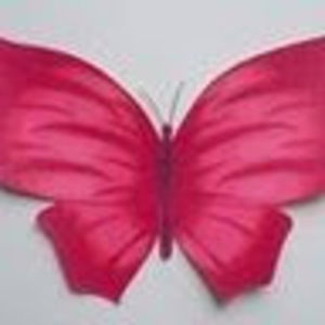 Meet your Posher, Emilie